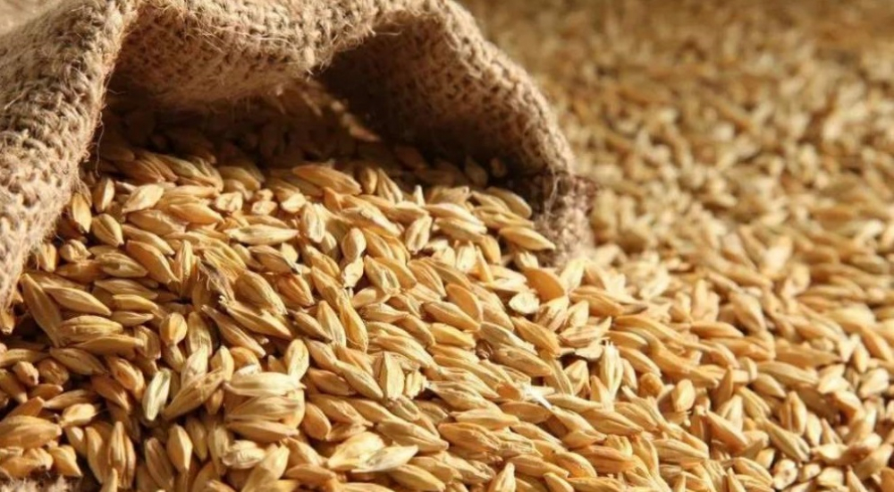 Россия вводит временный запрет на экспорт зерна и сахара в страны ЕАЭС