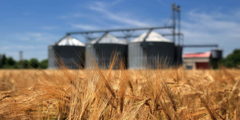 В Казахстане с 15 апреля введут ограничение на экспорт зерна и муки