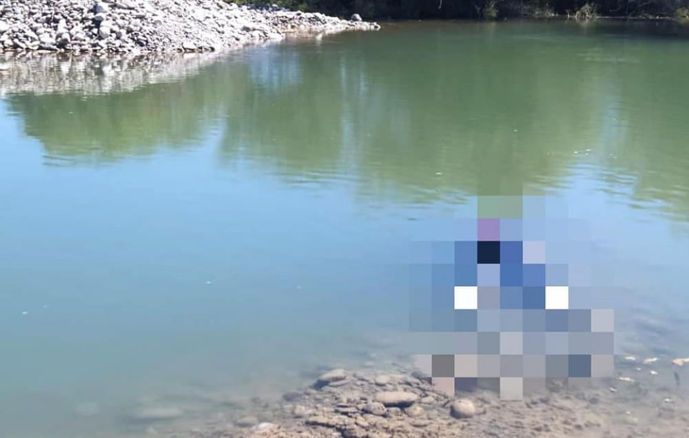 В реке Талас найдены тела пропавших подростков