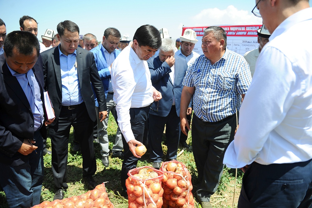 Фермерам Кыргызстана за девять месяцев выдано 5,1 миллиарда сомов льготных кредитов