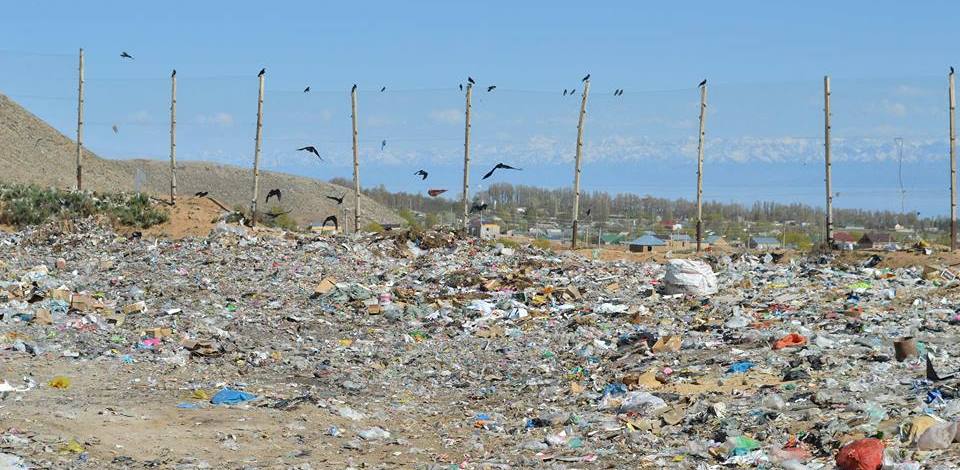 Вице-мэр Чолпон-Аты о мусорном полигоне: Другого места для его переноса нет